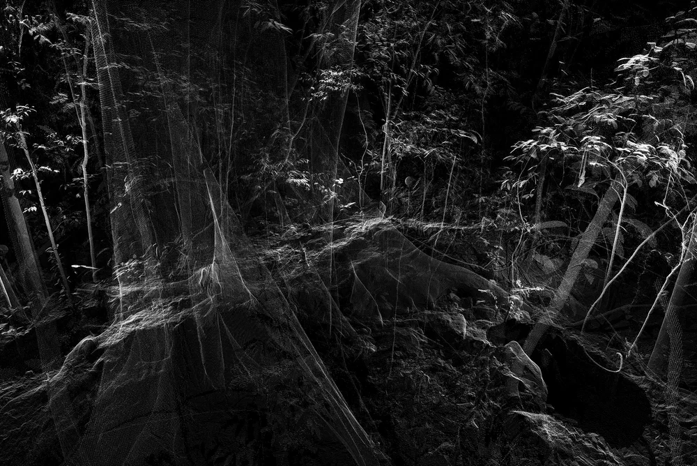 Daniel Steegmann Mangrané, Phantom (Kingdom of all the animals and all the beasts in my name), 2015. Ambiente di realtà virtuale, visore HTC Vive, sviluppato da ScanLAB Projects, Londra. Courtesy dell’artista. Photo: ScanLab projects, Londra