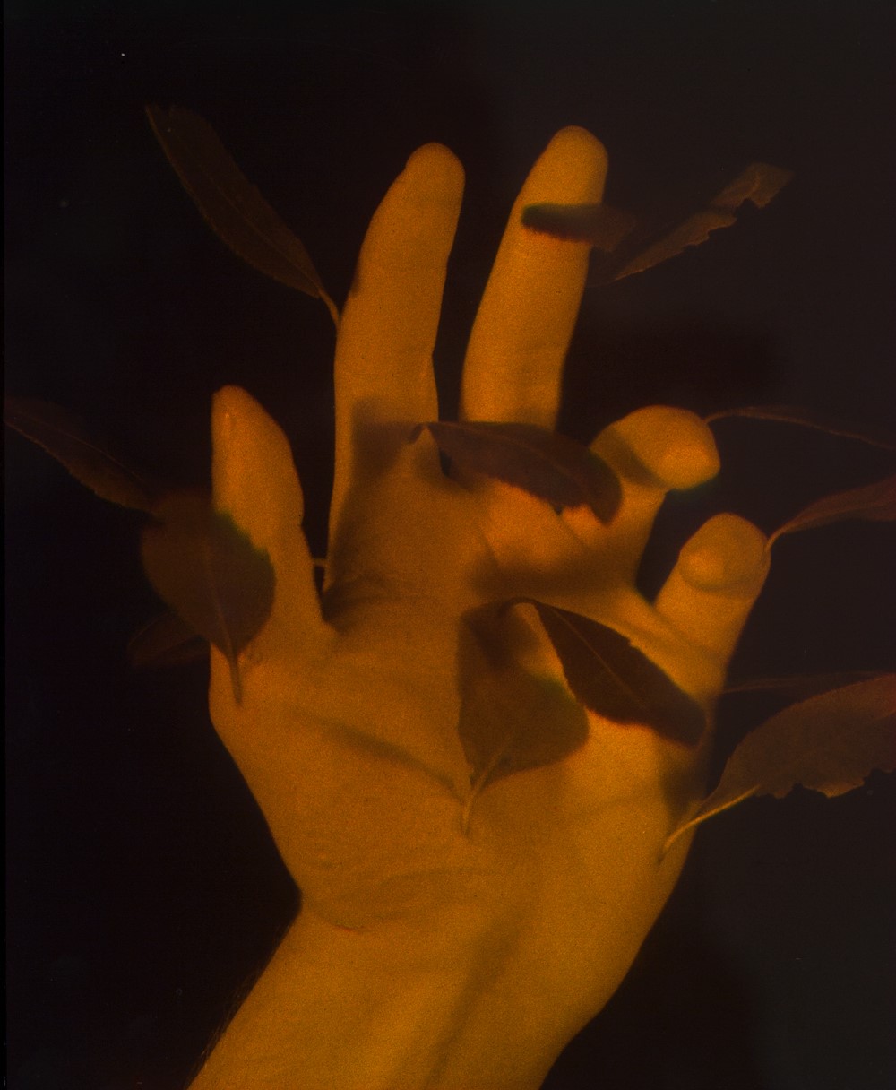 Daniel Steegmann Mangrané, Mano con hojas, 2013; Ologramma. Courtesy dell’artista, KADIST collection