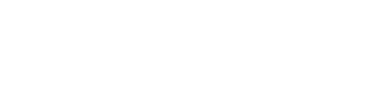 David Kim Photography