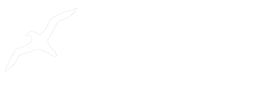 The Albatross Drive-In