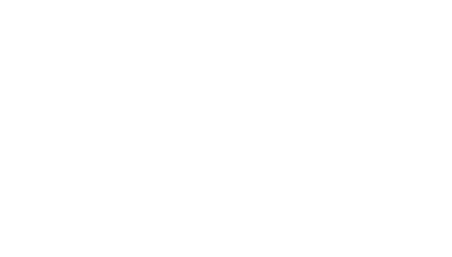 Commonwealth Strategy Group