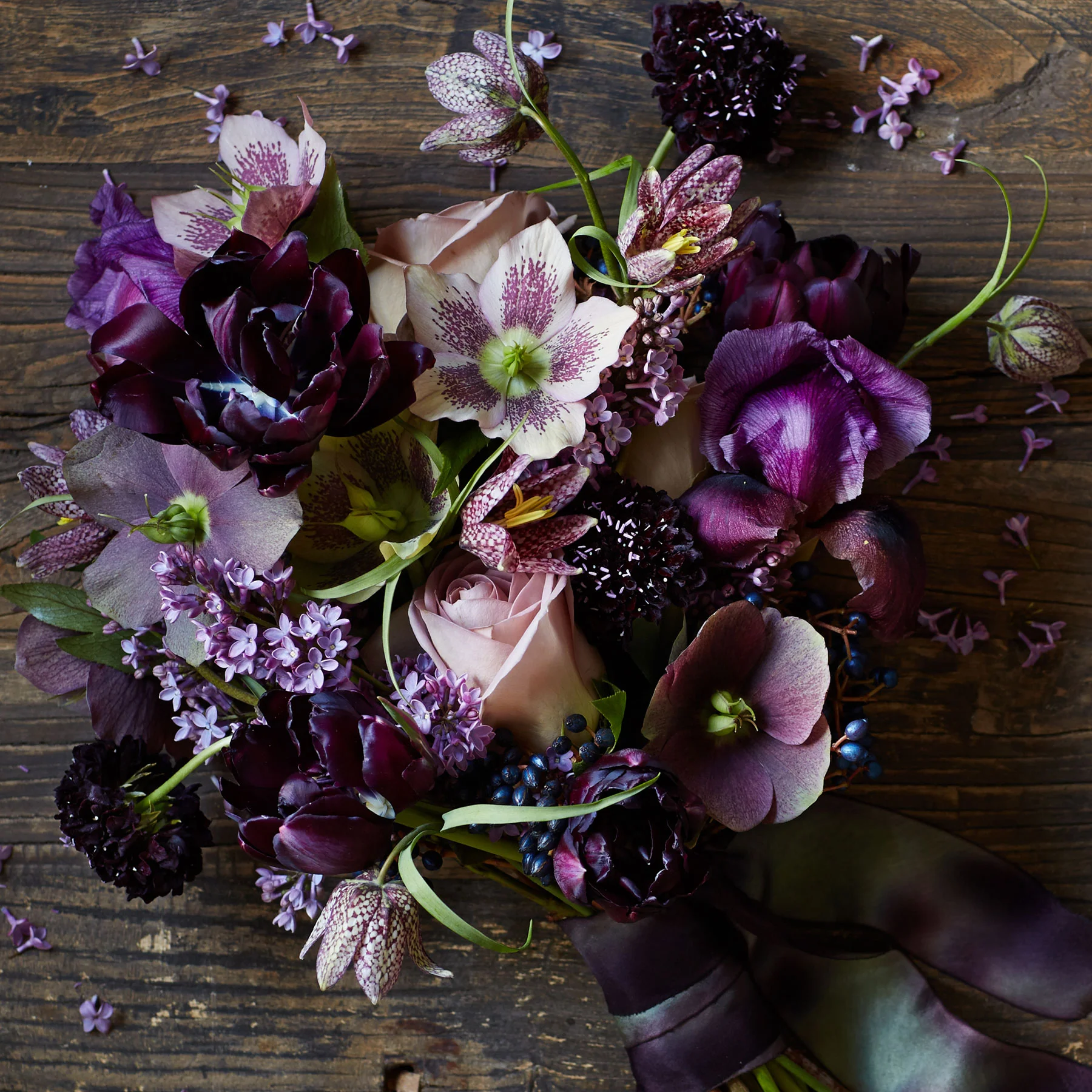 Helleborus букеты