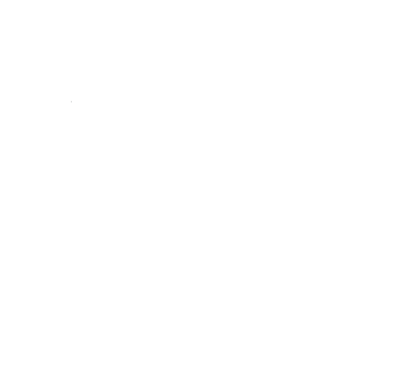 Hard Boiled Holistics 