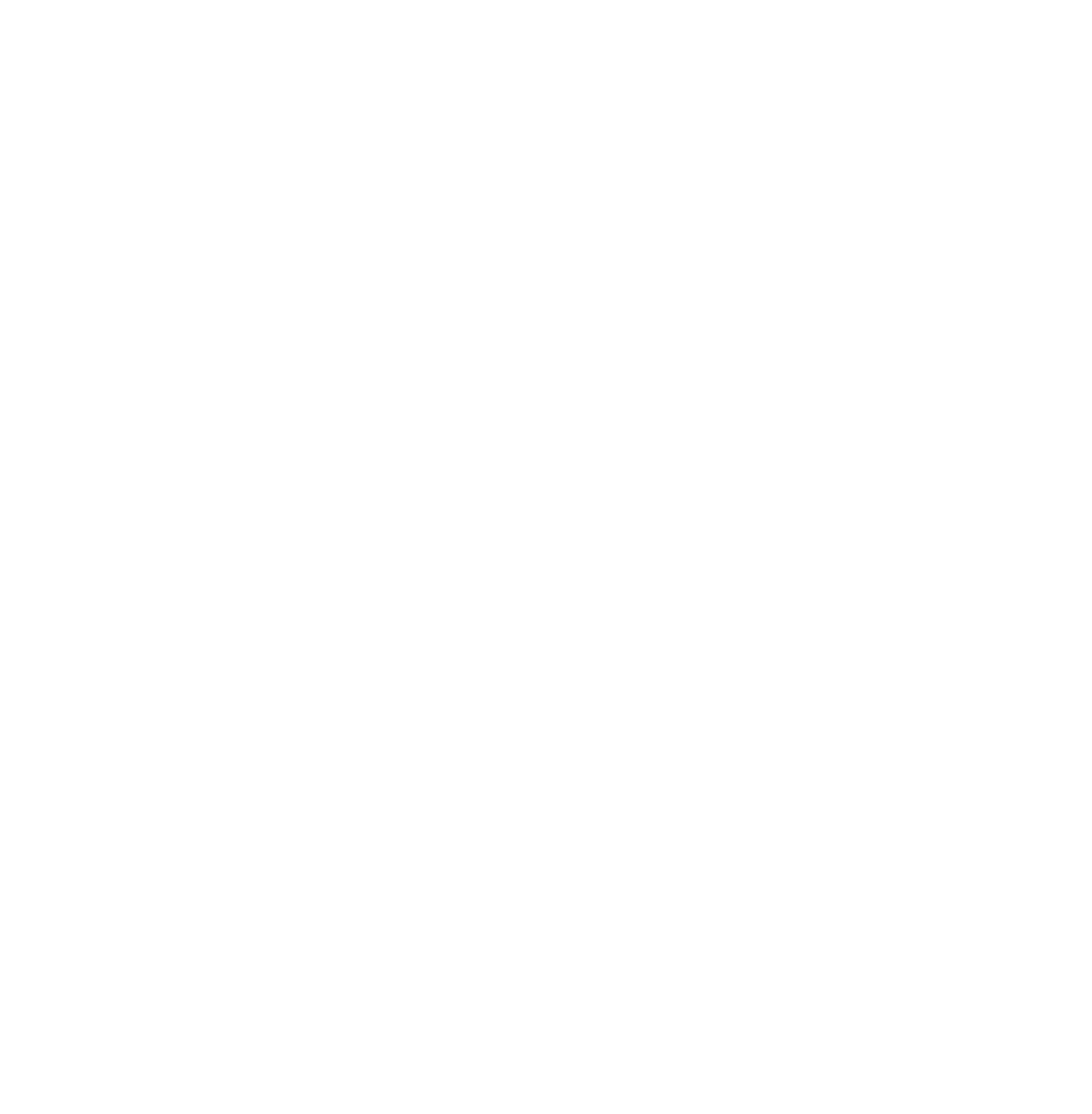 TechSolutionsElite