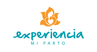 Experiencia MX