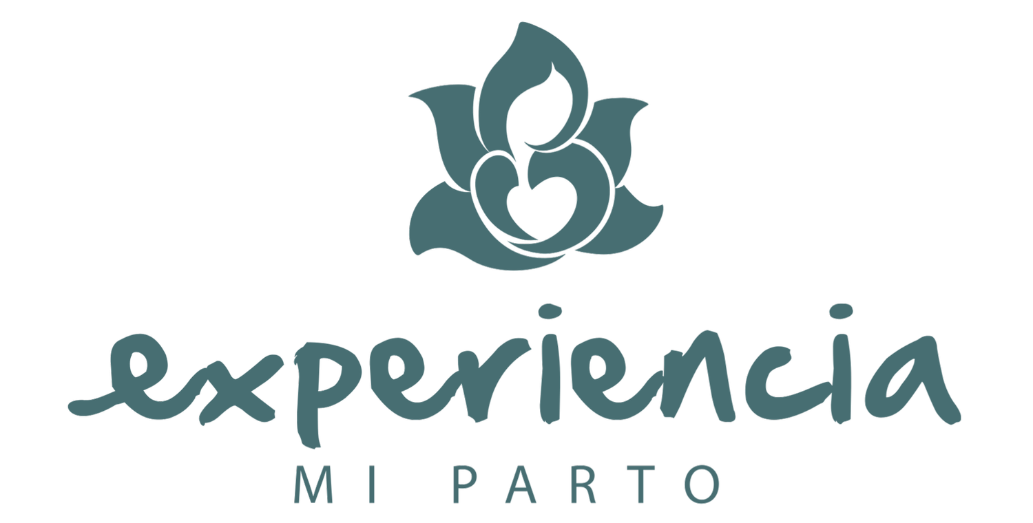 Experiencia MX