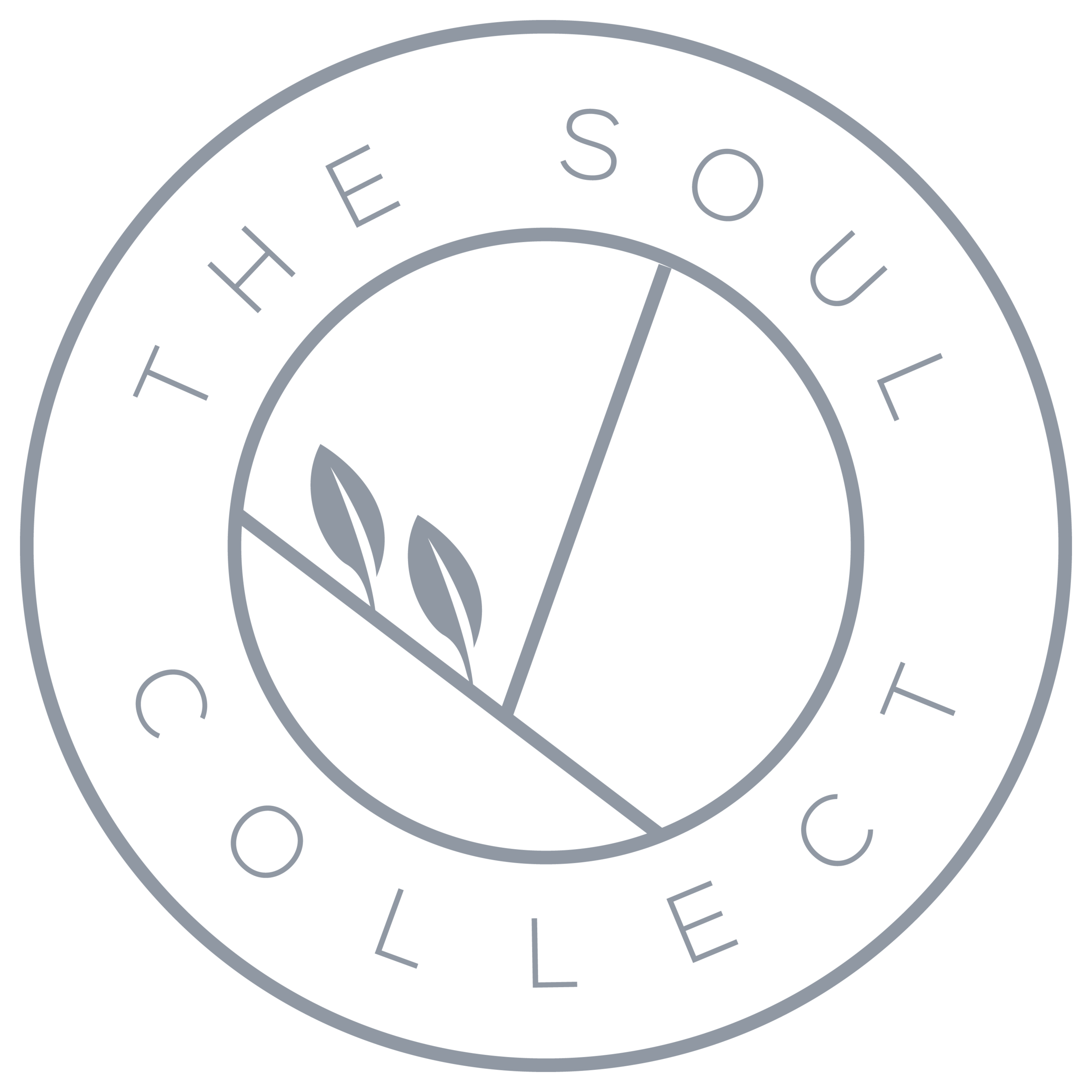 The Soul Collect 