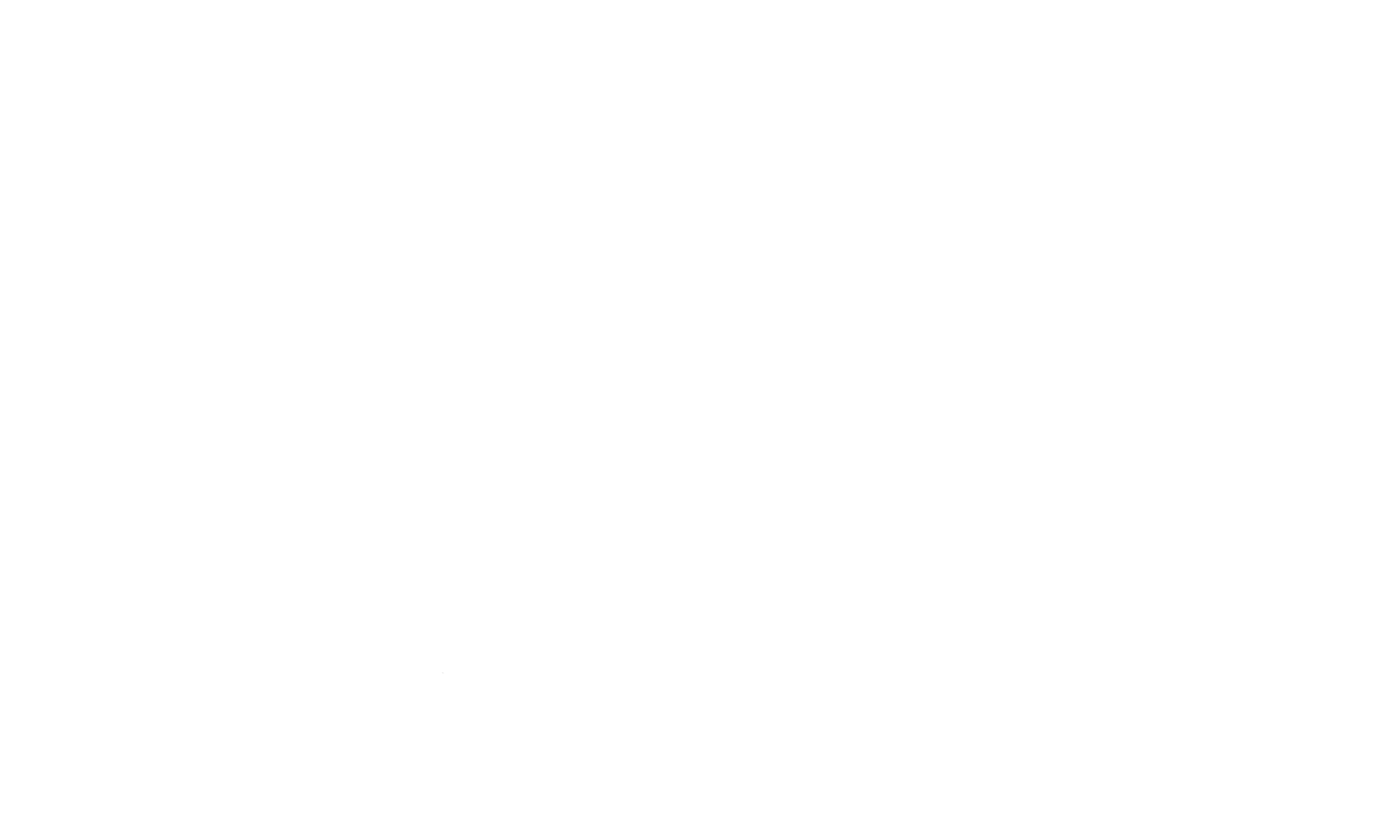 Floral Designs by Sofie