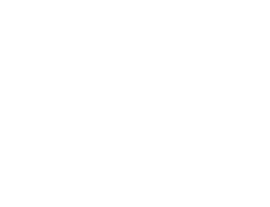 Carlson Forge