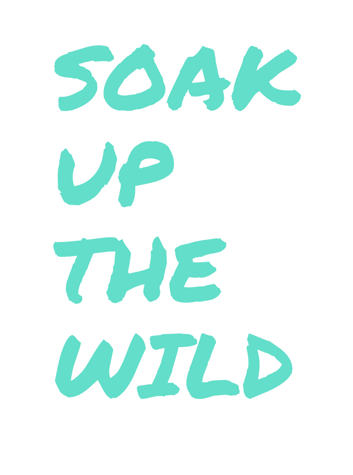 SOAK UP THE WILD