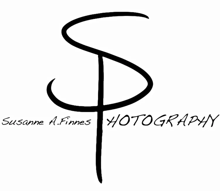 Susanne A. Finnes
