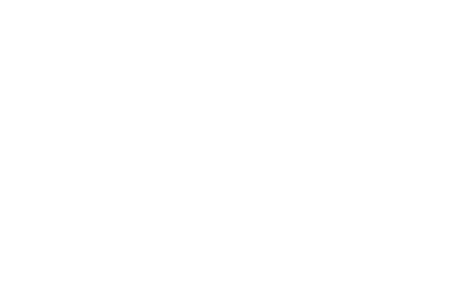 Mr. Luxury Ski