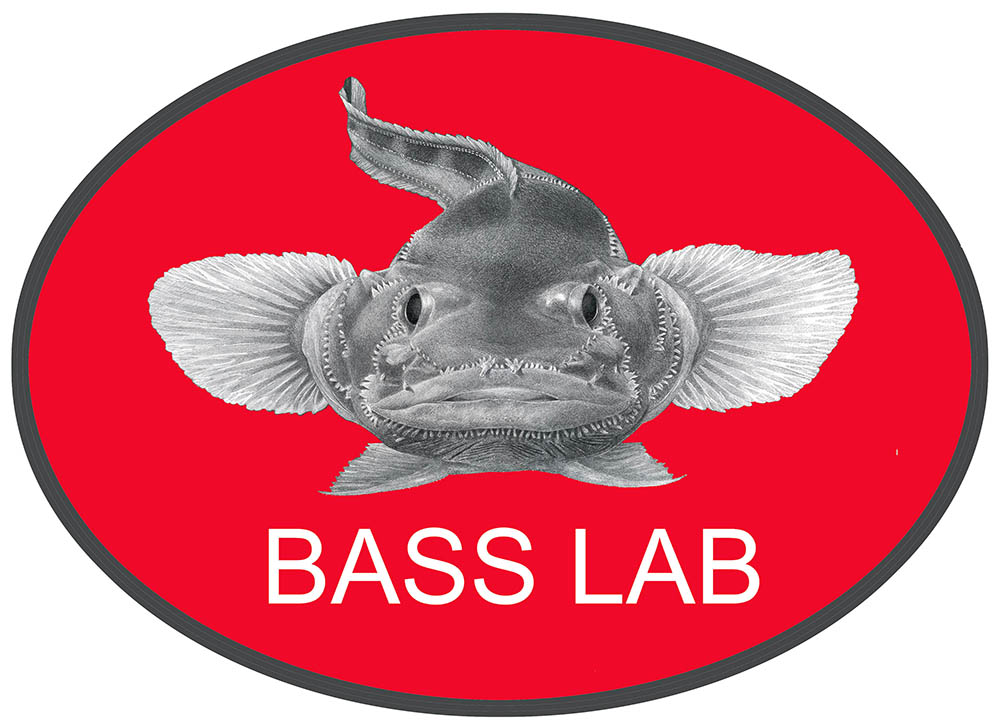 Bass Lab
