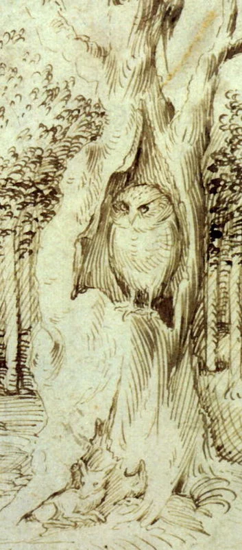 A Macchia D'Olio