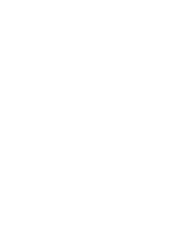 TBO Marketing Corp
