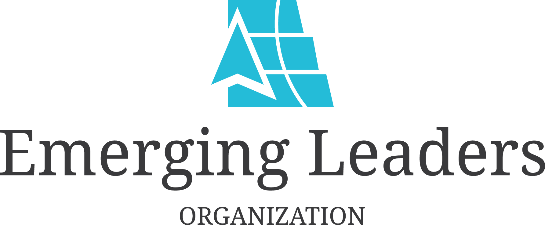 Emerging Leaders