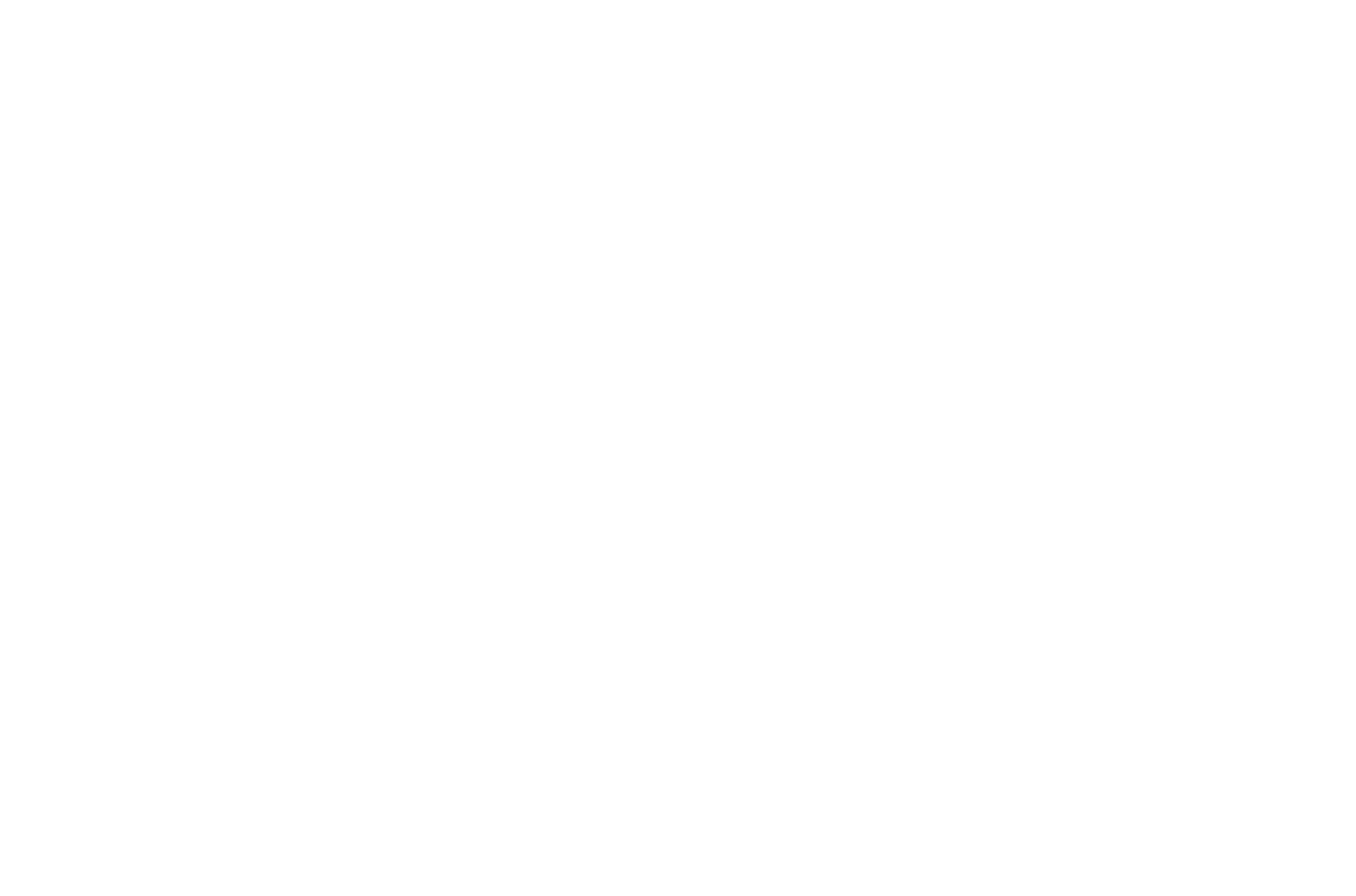 Danger Twins 