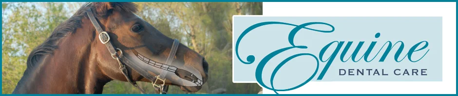 Equine Dental Care Virginia