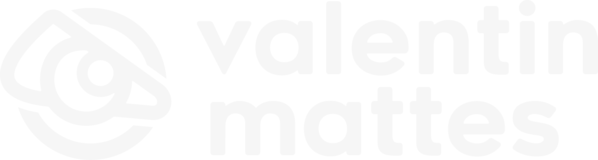 Valentin Mattes
