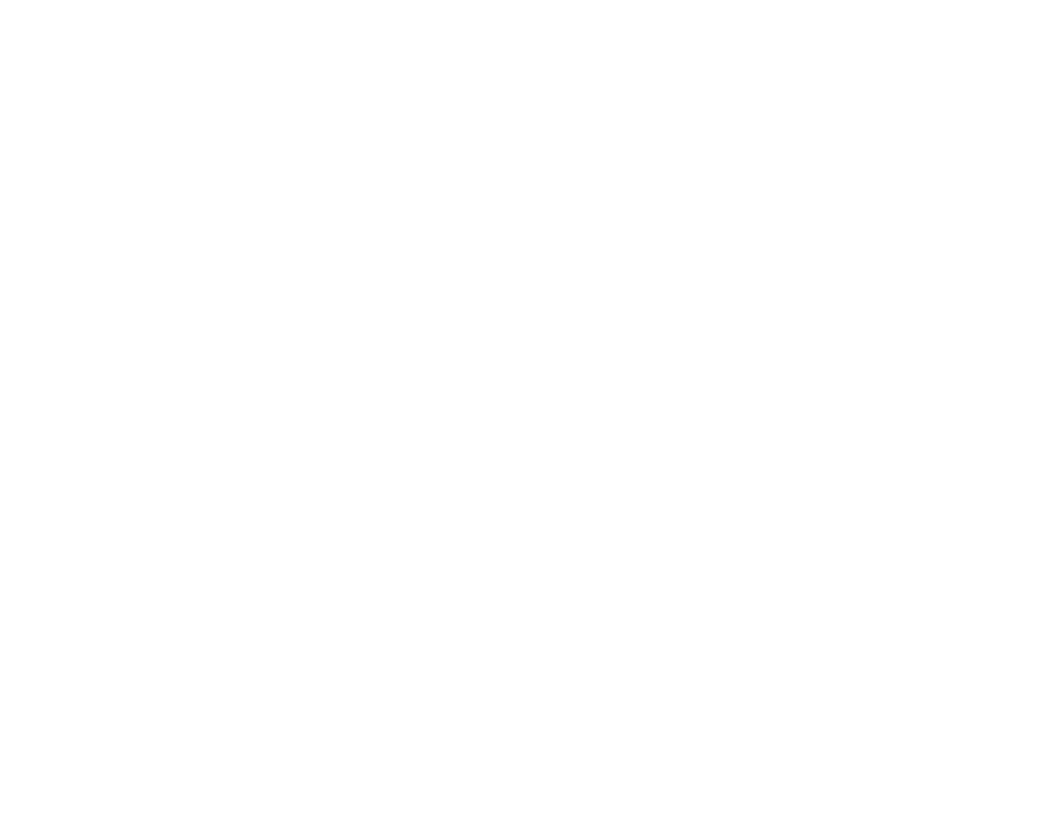 Sedanz Private Executive Chauffeured Transportation