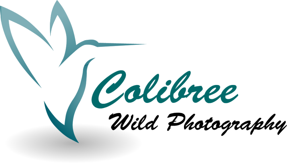 Colibree