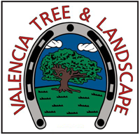 Valencia Tree & Landscape 