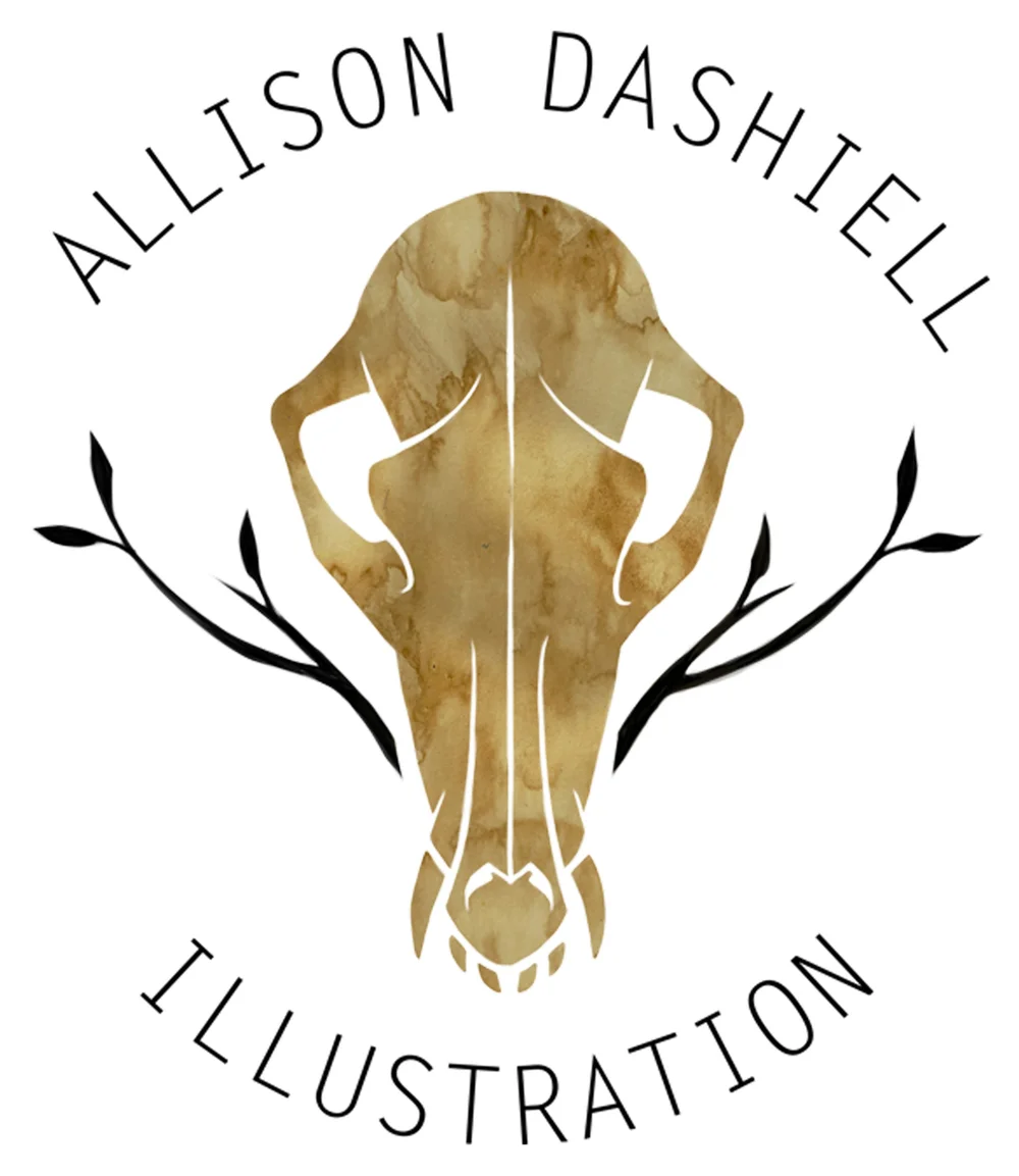 Allison Dashiell Illustration & Design