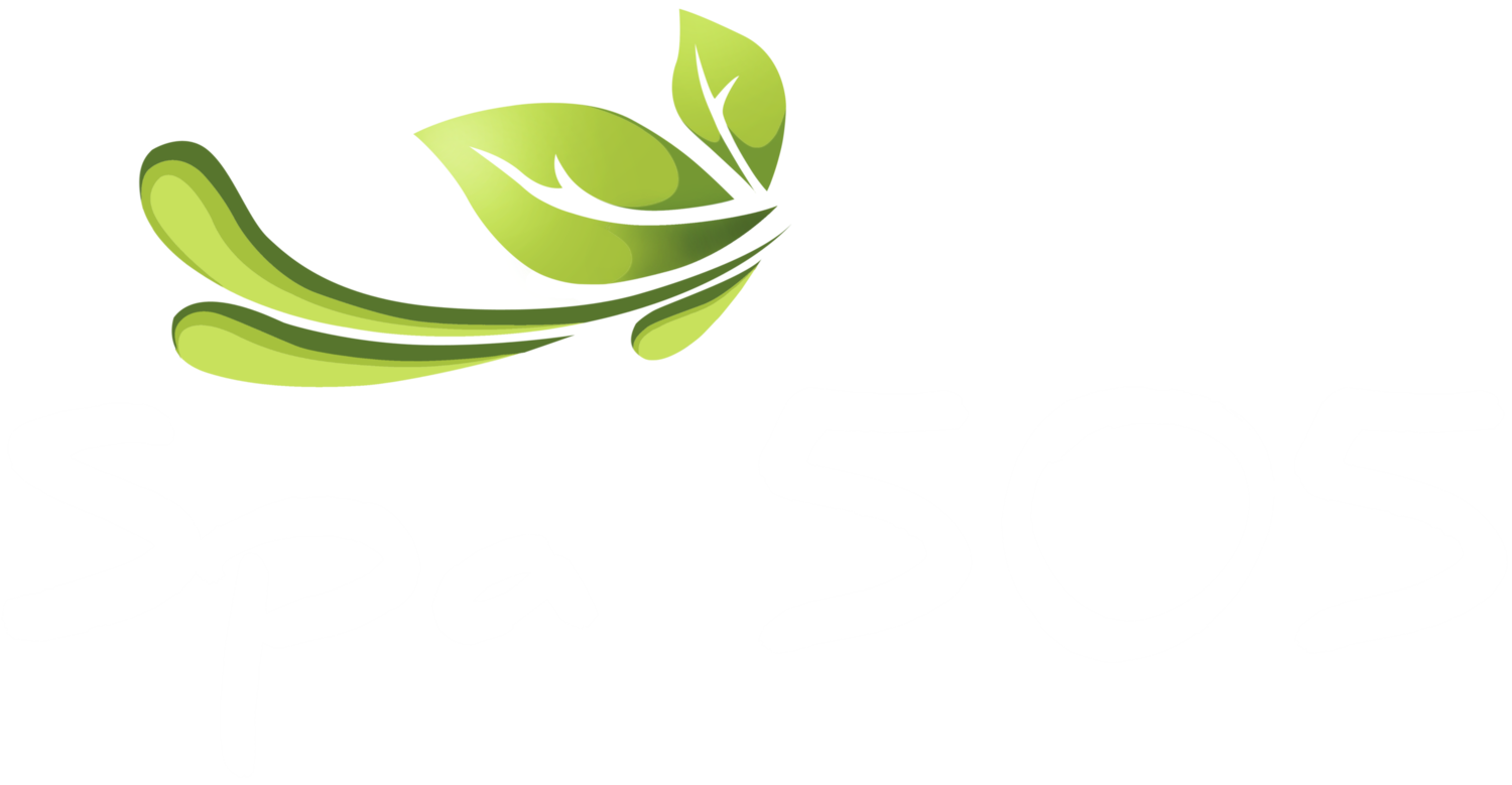 Spa 505 - Massage Massapequa & West Nyack (Palisades Mall)