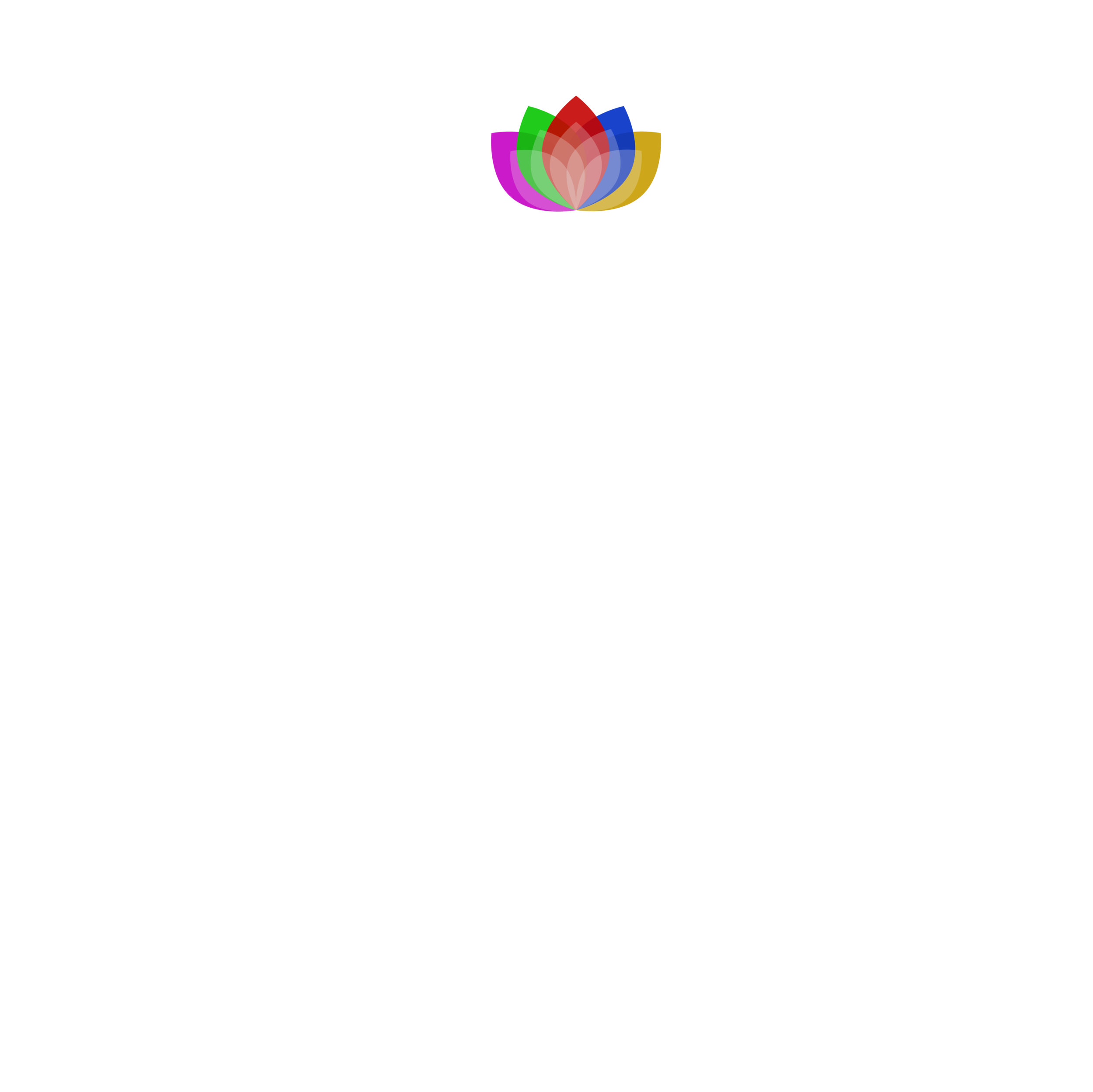 Project Fig