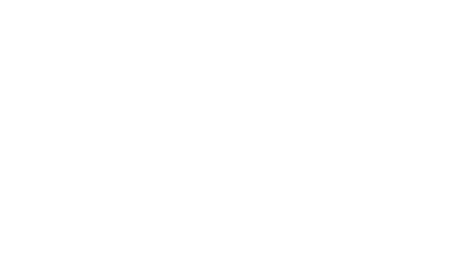 Hudson Group