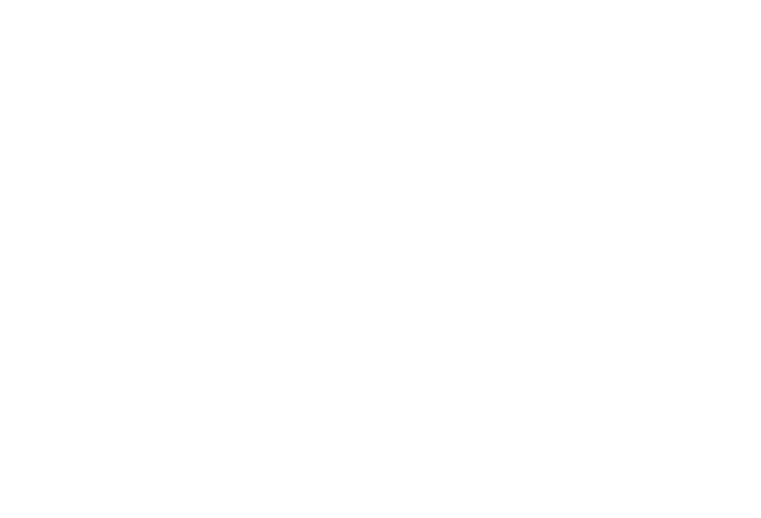 Susie Park
