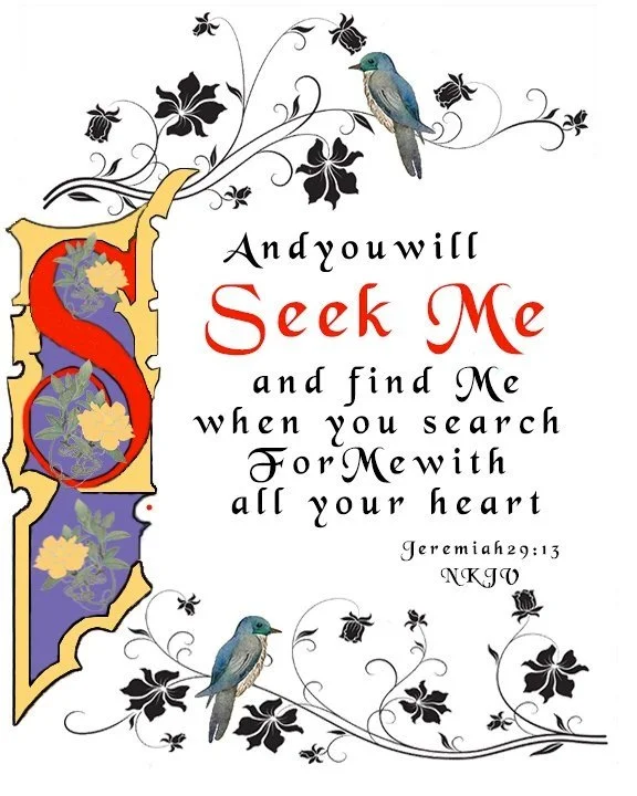 Me and seek