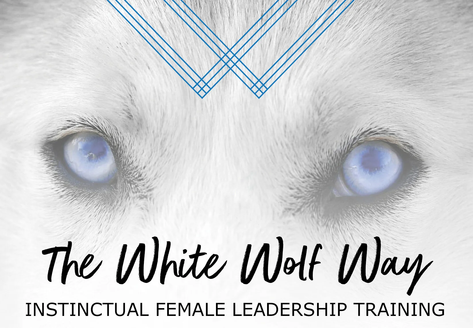 female white wolf