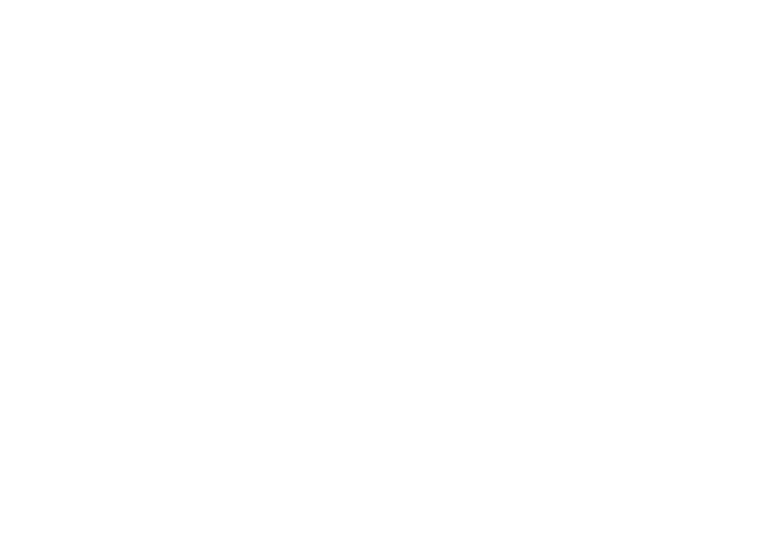 Stemann Technical