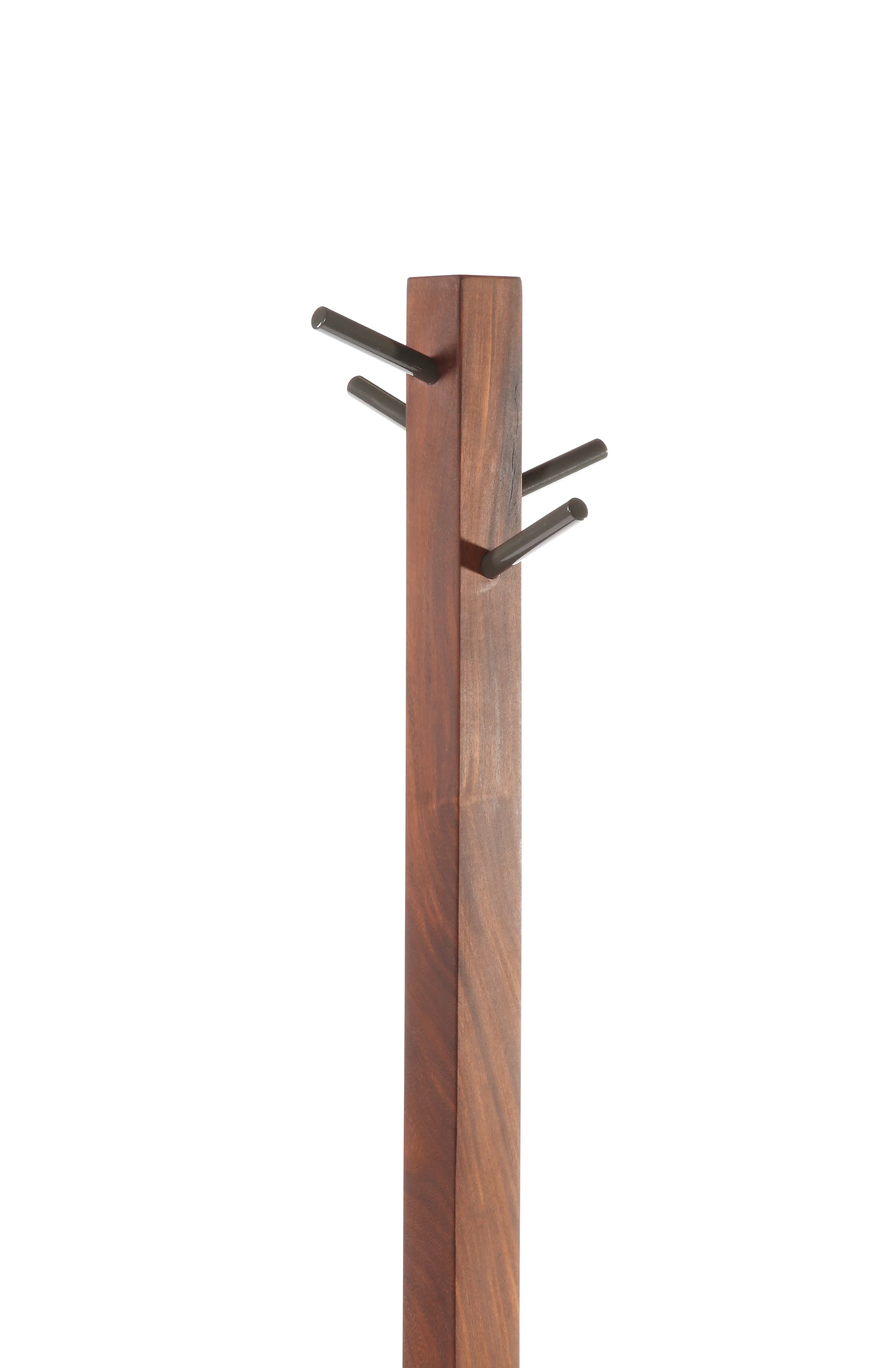 CoatTreeTop.jpg
