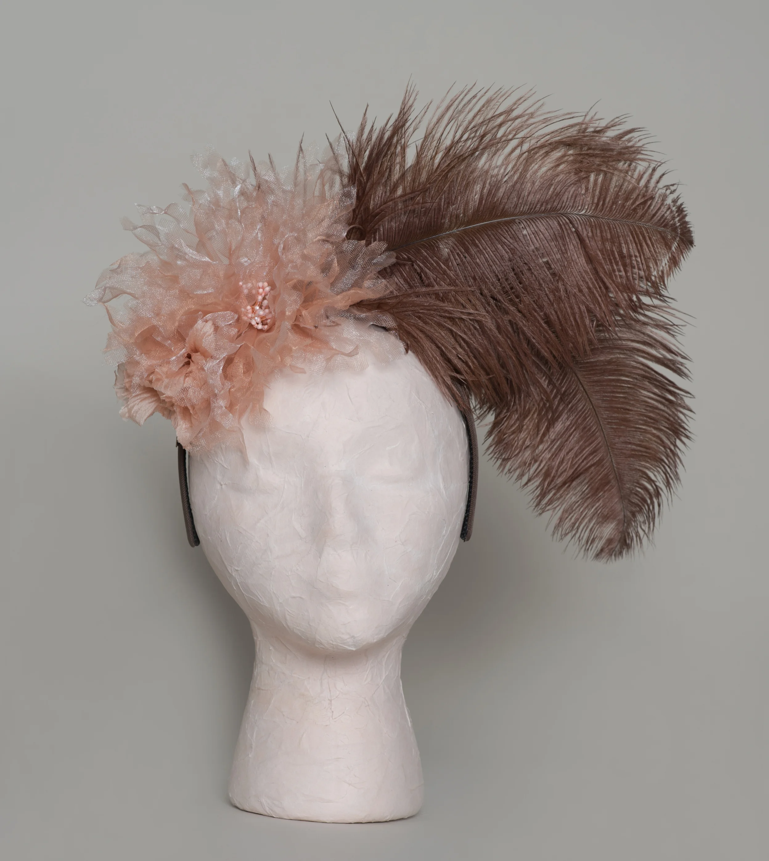 brown ostrich feathers
