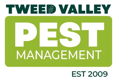 Tweed Valley Pest Management