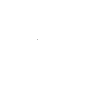 Belmont Showcase Series