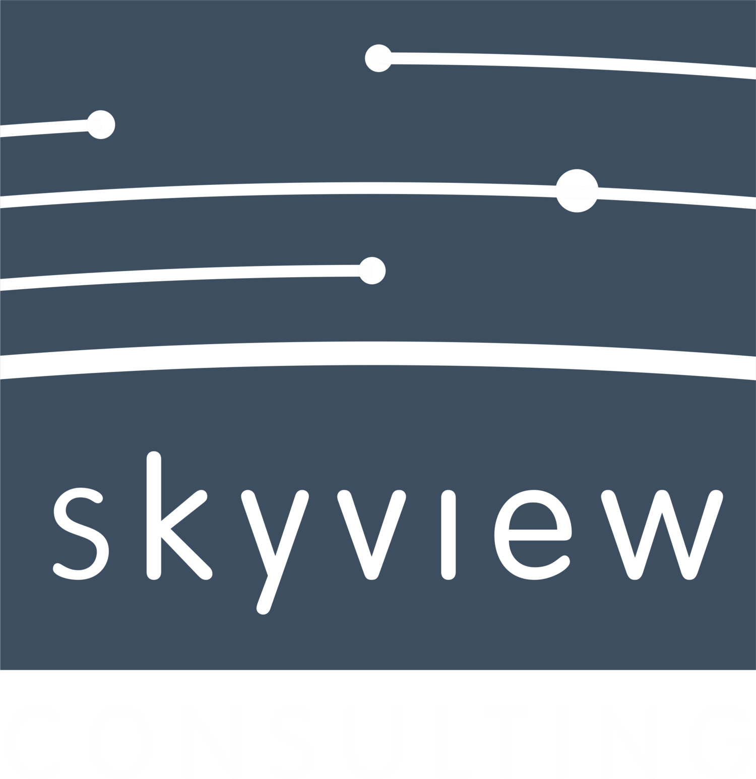 Skyview Consulting