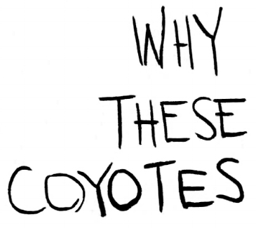 Why These Coyotes