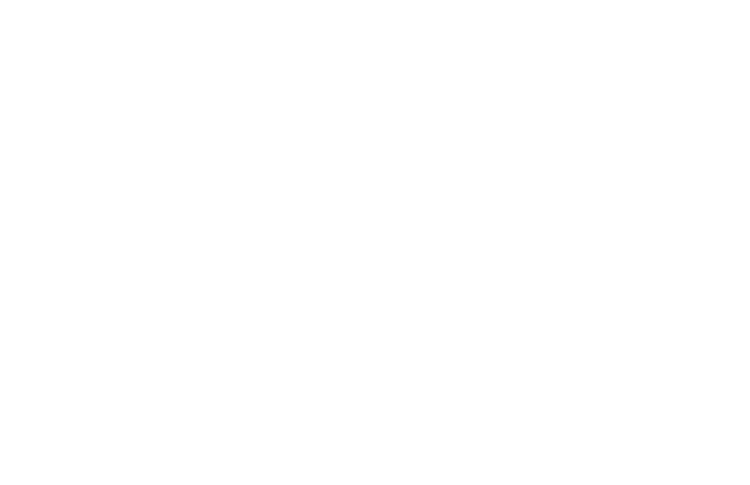 CARLINI LEGAL