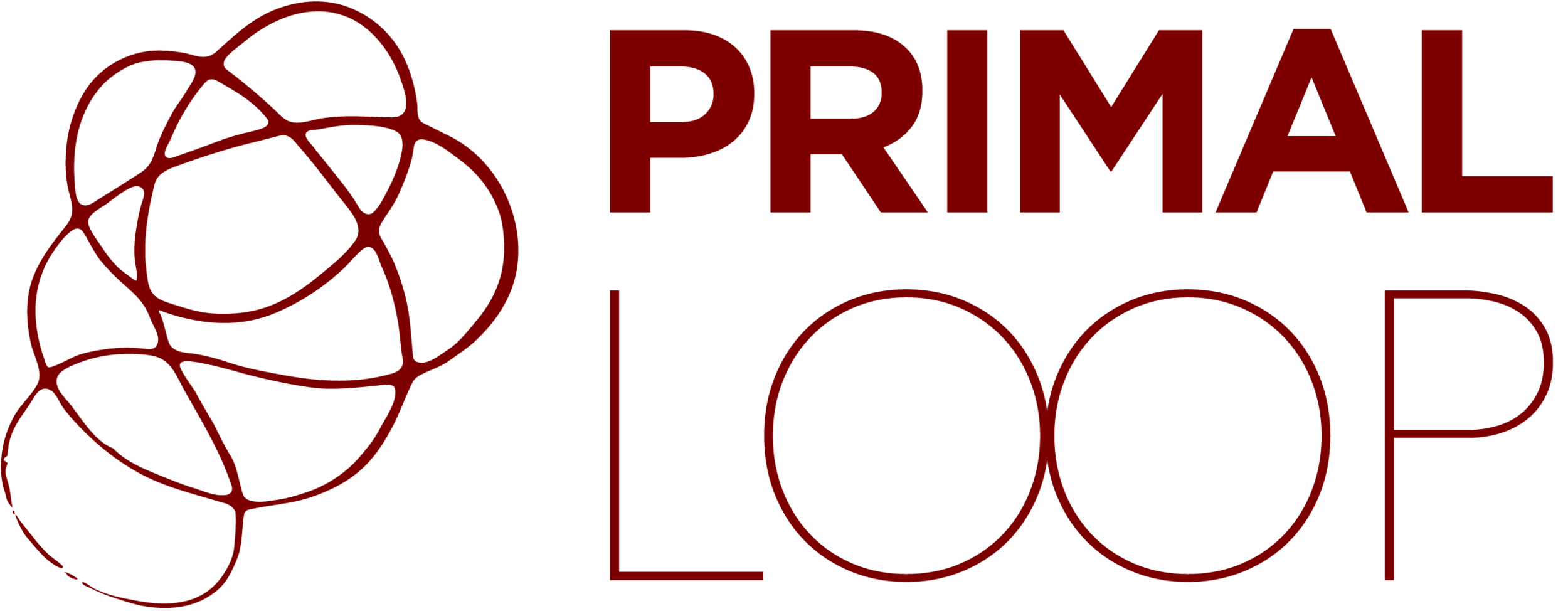 Primal Loop | A design consultancy inspired by people