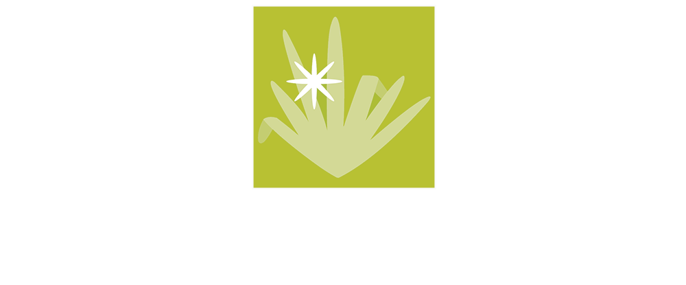 The Plant Specialist