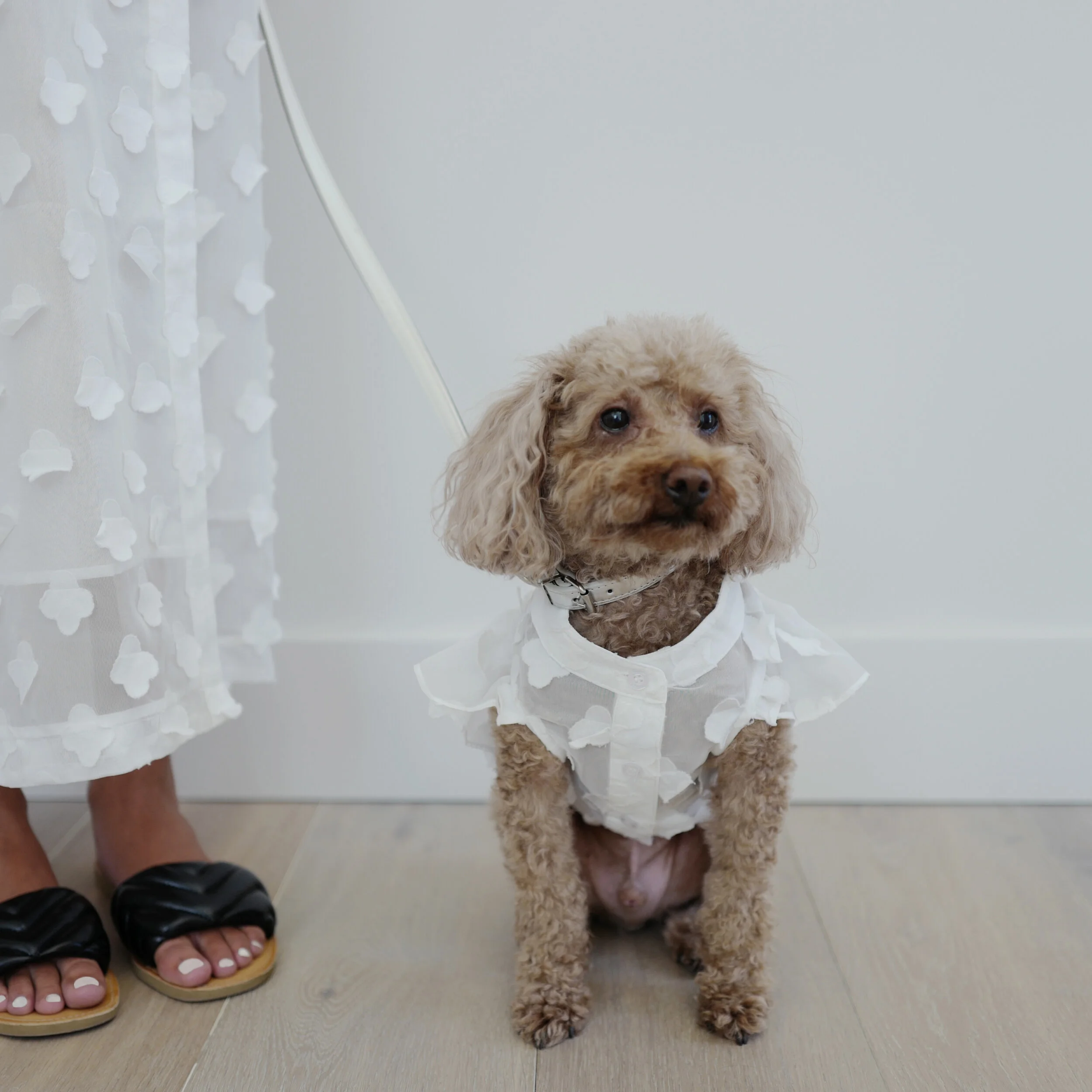 ◆RONRON◆ LADY DOG MOMENTS OVER FIT T SHIRT WHITE RIBBON LADY DOG OVER FIT T SHIRT WHITE - RONRON 론론