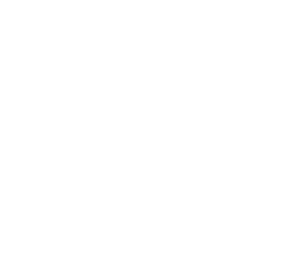 Beyond the Arc Basketball