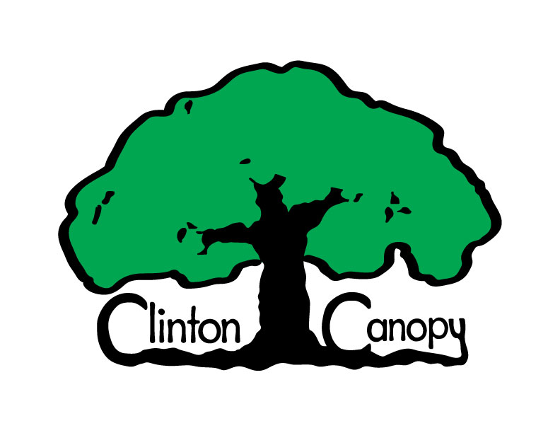 Clinton Canopy