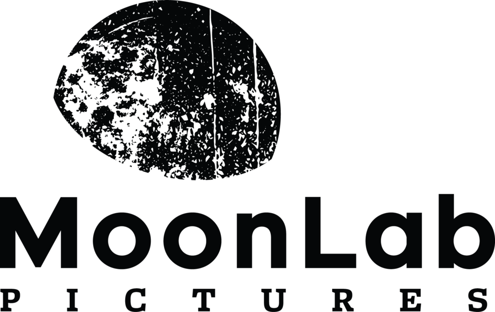 MoonLab Pictures