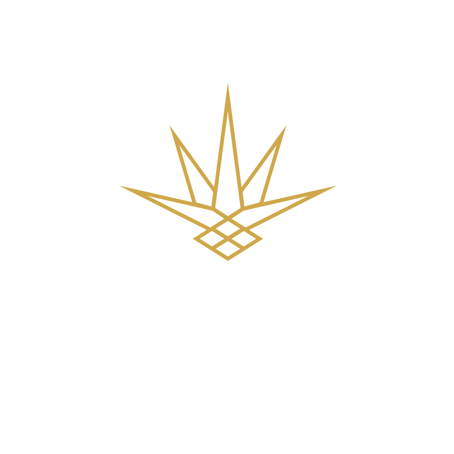 Pattern Bar