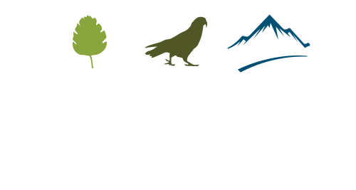 Arthur's Pass Café & Store