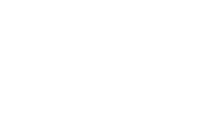 The Mood